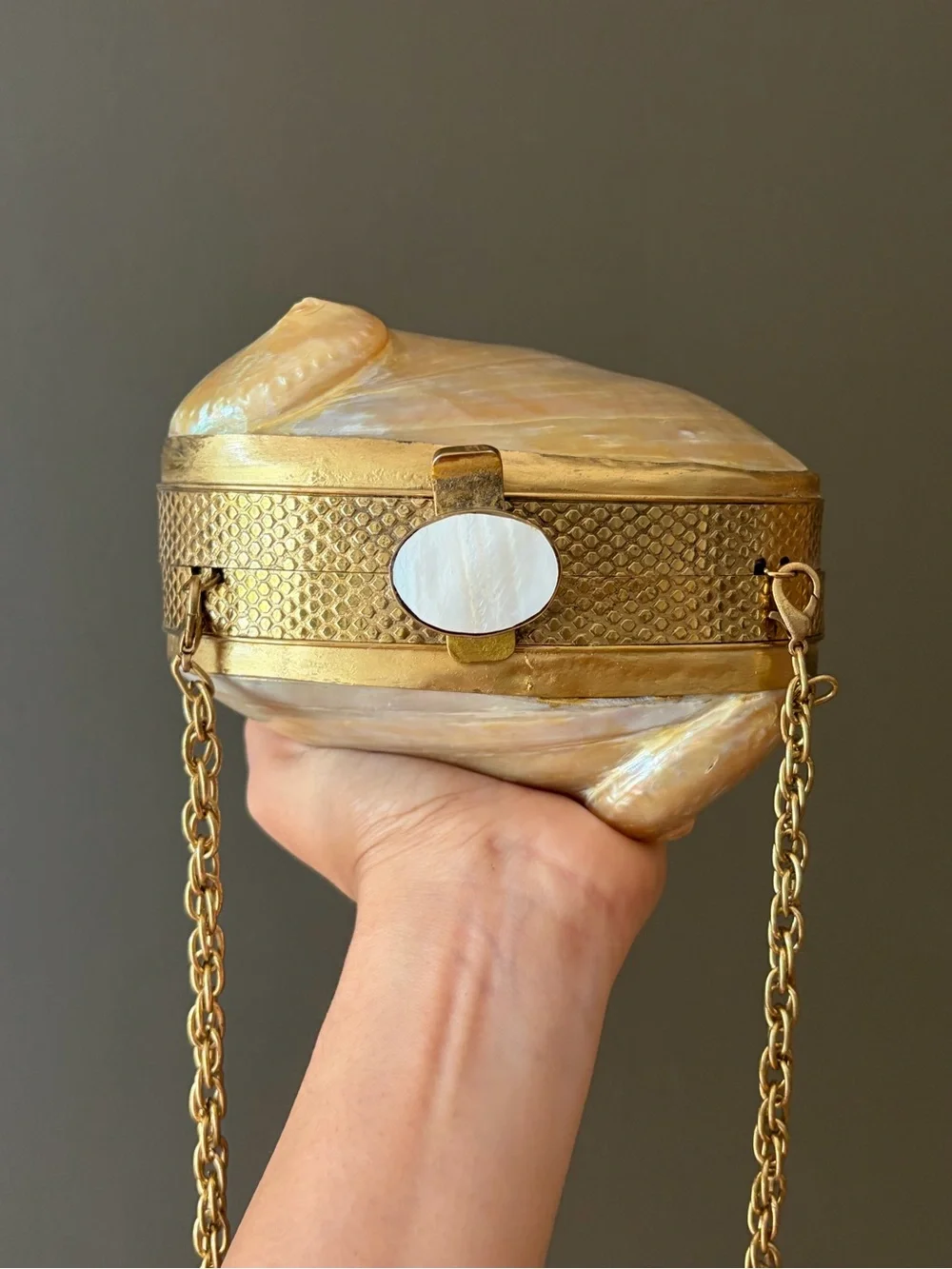 Iridescent Shell Clutch Wristlet in Cream